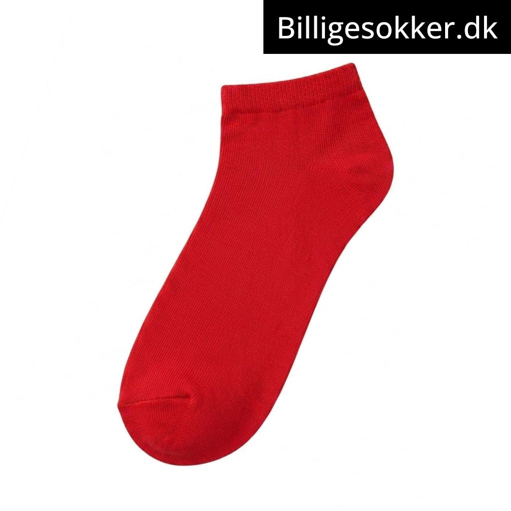 Tennissokker - 3 Par Farvede Ankelsokker