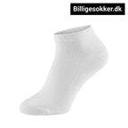 Ankelsokker - 10 Par Hvide