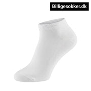 Ankelsokker - 10 Par Hvide