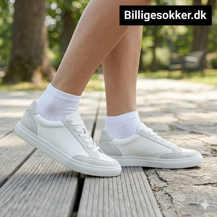 Ankelsokker - 10 Par Hvide